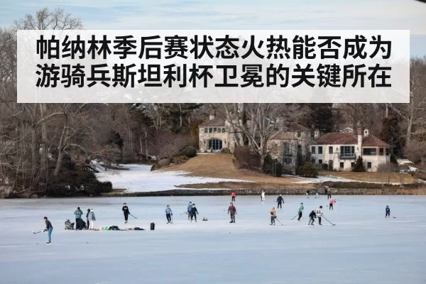 帕纳林季后赛状态火热能否成为游骑兵斯坦利杯卫冕的关键所在